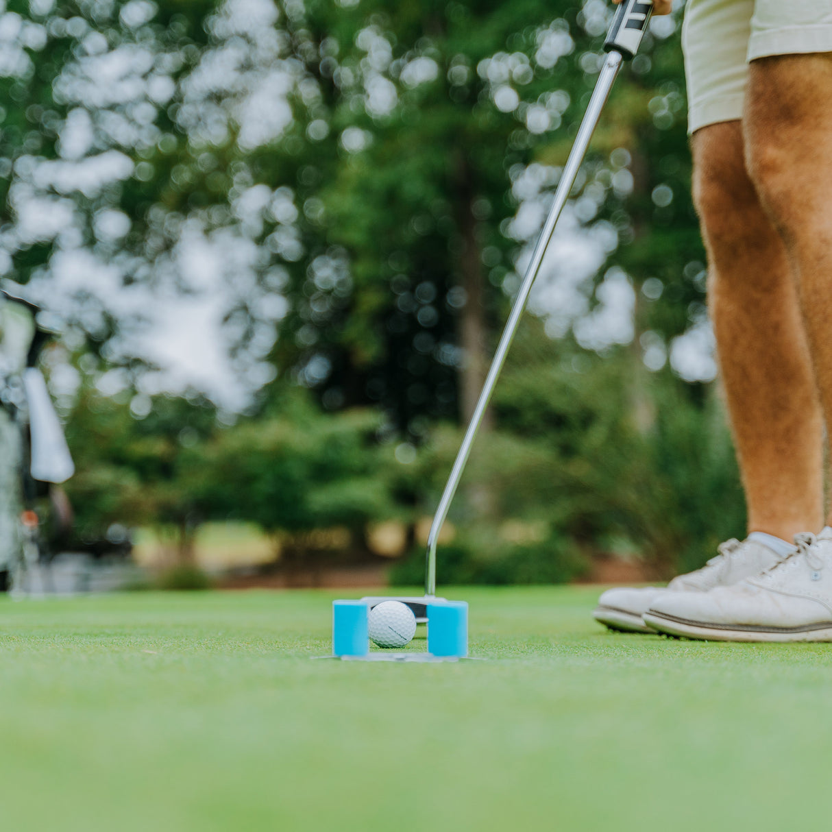 NeuraPutt (Outdoor Model)